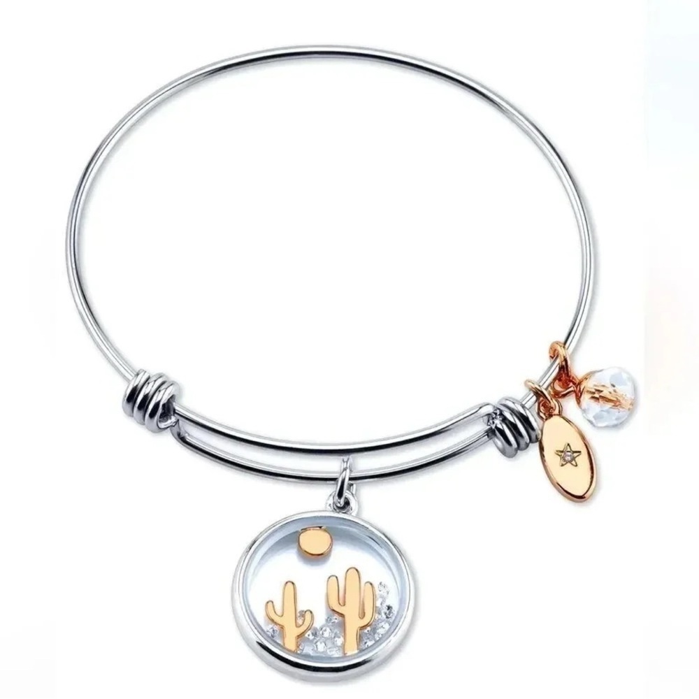 Cactus Desert Stay Sharp Crystal Charm Bangle Bracelet in Stainless Steel